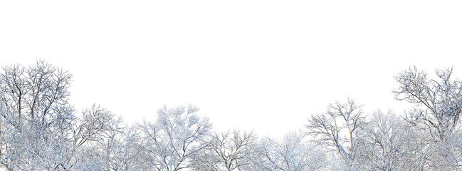 3D render forest and nature in winter