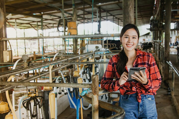 Asian female health worker holding tablet inspecting dairy farm, factory, rural cow farm, inspecting the cleanliness of milking machine that is hygienic and safe according to GMP standards