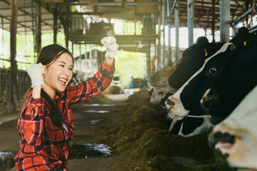 Happy female farmer raising fist in motion, tending healthy and quality cows in a modern and standardized cattle farm : Asian farmer raising cows takes care of the dairy business on the ranch.