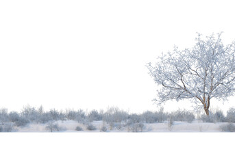 Naklejka premium 3D render forests and nature during winter