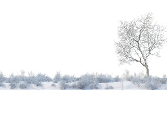 3D render forests and nature during winter