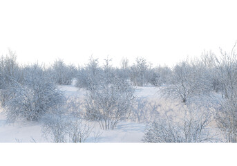 3D render forests and nature during winter