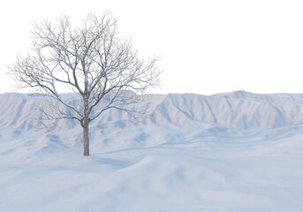 Fototapeta na wymiar 3D render forests and nature during winter