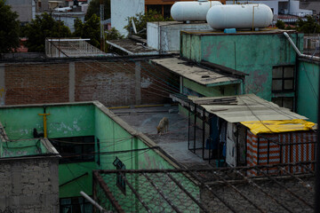 a rooftop from an old building