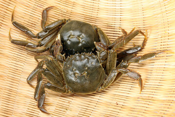 Crab background