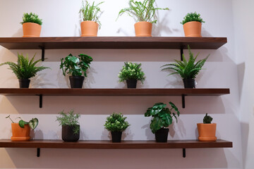 Interior of modern bathroom with opened doors and illuminated shiny walls in restaurant 