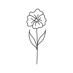 Hand drawn illustration of flowers