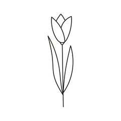 Hand drawn illustration of flowers