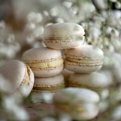 Macaroni. French dessert. Cream colored macarons on paper. Decorated with dried flowers.Close-up. 