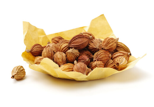 Dried Herbs, Latin name: Amomum villosum Lour. Chinese name: Xiang Sha Ren and known as Cocklebur-like Amomum Fruit, Fructus Amomi, Villous Amomum Fruit , Chinese herb medicinal on white background
