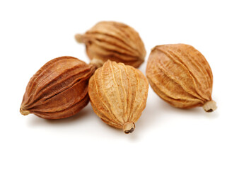 Dried Herbs, Latin name: Amomum villosum Lour. Chinese name: Xiang Sha Ren and known as Cocklebur-like Amomum Fruit, Fructus Amomi, Villous Amomum Fruit , Chinese herb medicinal on white background
