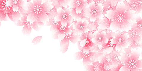 桜　和柄　春　背景	