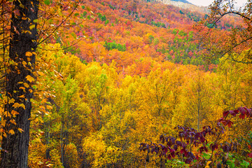Autumn hillsides in the Smoky Mountains