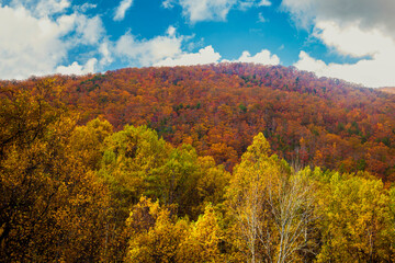 Fototapeta premium Autumn hillsides in the Smoky Mountains