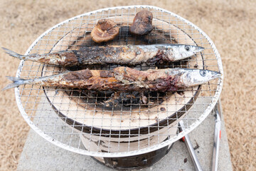 冬に七輪で秋刀魚の炭焼き