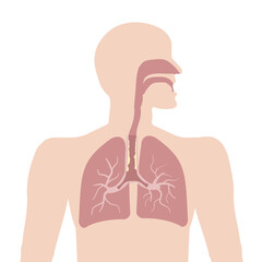 Silhouette of a man with an image of the respiratory system and sputum, the cause of cough. Vector illustration