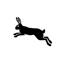 Jackrabbit