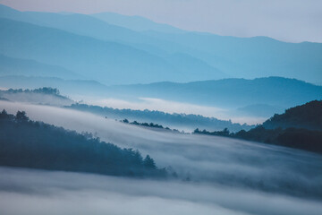 Blue Ridge Mountain mist at dawn