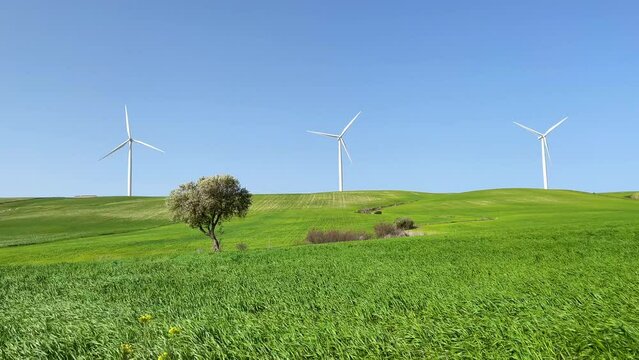 windmill in green meadow