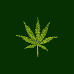 leaf marijuana illustration creative design