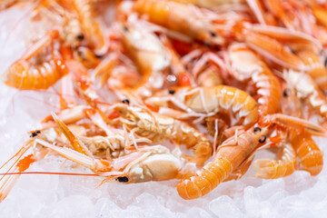 Langostinos frescos en una lonja de pescado / pescaderia. Pesca, fresco, frescor, comida, dieta mediterránea.