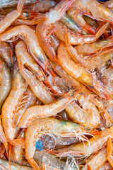 Gambas frescas en una lonja de pescado / pescaderia. Pesca, fresco, frescor, comida, dieta mediterránea.