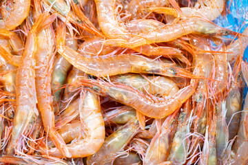 Gambas frescas en una lonja de pescado / pescaderia. Pesca, fresco, frescor, comida, dieta...