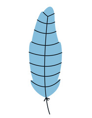 Blue jay feather in doodle style. Beautiful design element.