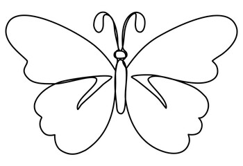 Butterfly line art minimalist 