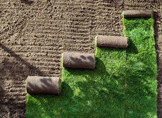 Stack of turf grass for lawn. roll of sod, turf grass roll.