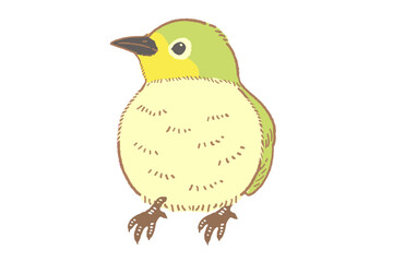 メジロのイラスト素材