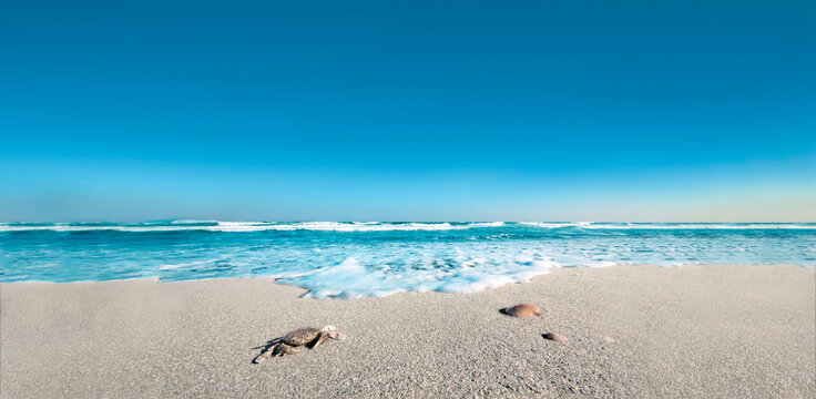 青空と波打つ海と無人の砂浜、自然,環境のイメージ