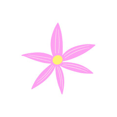 Pink Flower Blooming