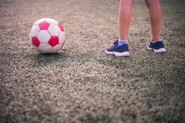 Green Grass of Football Soccer Sport Field Background