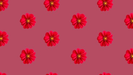 Flowers Wallpaper