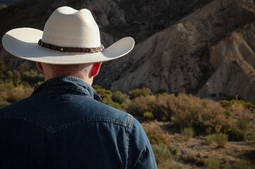 Rear view of adult man in cowboy hat in desert