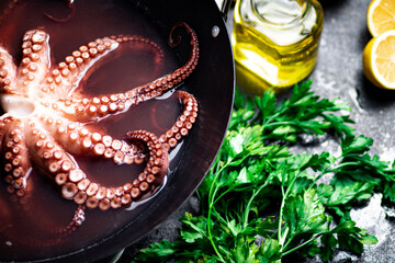 Fototapeta premium Octopus is boiled in a pot of water. 