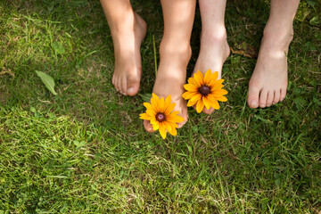 bare feet of two children on the grass. Two orange flowers between their toes. joy, cheerful positive atmosphere, happy childhood. Hello summer, nature energy, earth day