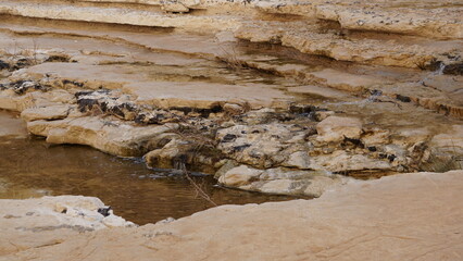 Water in the canyon of the En Avdat National Park in the Negev desert in Israel in the month of January