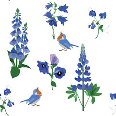 Vector pattern with lupine, campanula, digitalis and birds on a white background.
