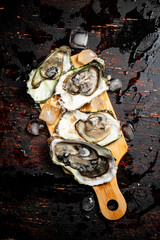 Oysters on a wooden cutting board. 