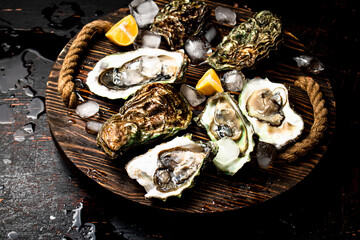 Oysters with ice cubes on a wooden tray. 