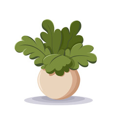 Home plant in the minimalistic pot. Home decor and gardening concept. Cute isolated vector illustration for product design and decoration