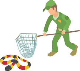 Coral snake icon isometric vector. Young man with landing net near milk snake. Reptile capture, herpetology