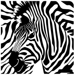 zebra skin pattern