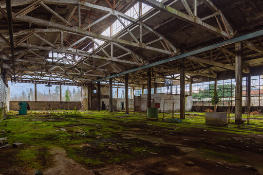 Old ruined industrial building overgrown by green moss and plants