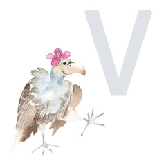Letter V, vulture, cute kids animal ABC alphabet. Watercolor illustration isolated on white background. Can be used for alphabet or cards for kids learning English vocabulary and handwriting.