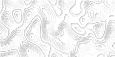 Abstract wavy line 3d paper cut white background. Topographic canyon geometric map relief texture with curved layers and shadow. Abstract realistic papercut decoration textured with wavy layers	
