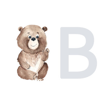 Letter B, uppercase, teddy bear, cute kids colorful animal ABC alphabet. Watercolor hand drawn illustration isolated on white background. Can be used for alphabet or cards for kids learning English