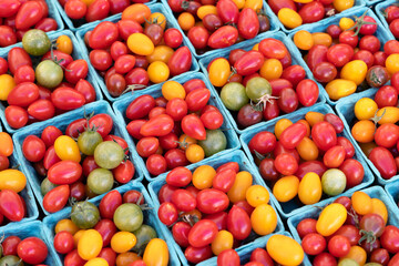 Various tomato cherry in boxes